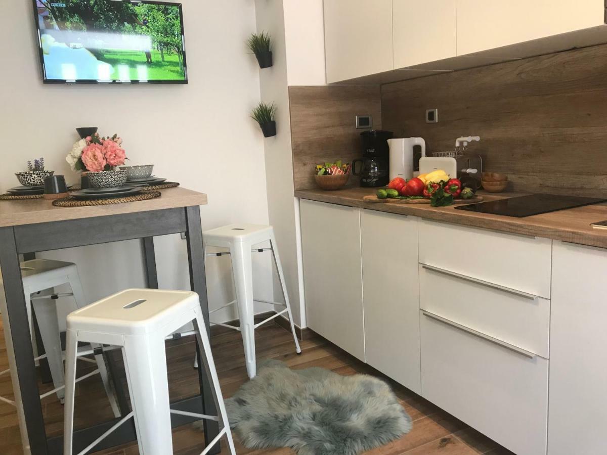 Arena Design Apartments With Free Private Parking And With A Terrace プーラ エクステリア 写真